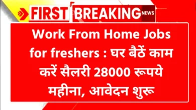 Work From Home Jobs for freshers